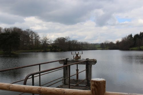 Fishing site - Étang d'Augères