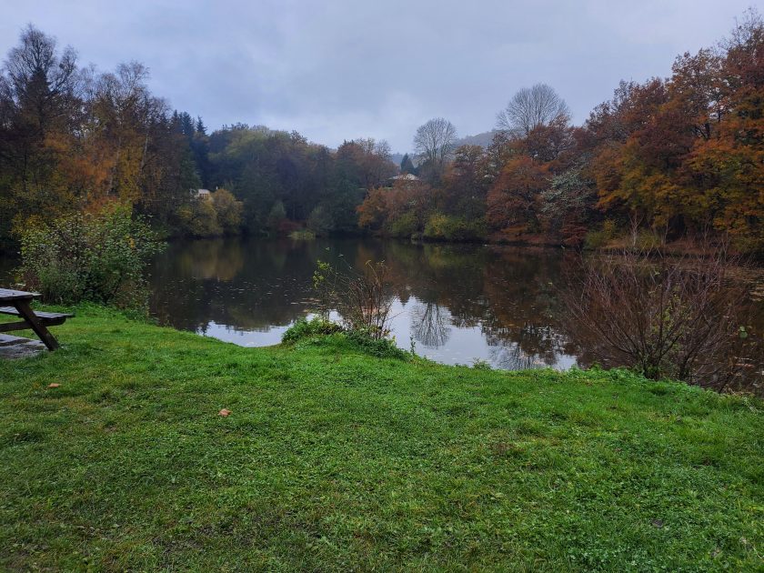 © Fishing site - Étang des Grelins - Fabien Arnaud