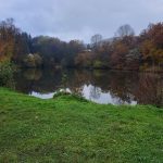 © Fishing site - Étang des Grelins - Fabien Arnaud