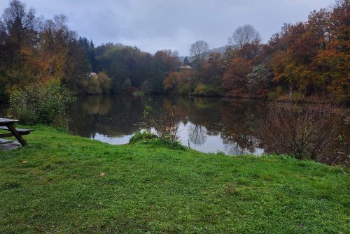 Fishing site - Étang des Grelins