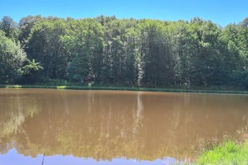 © Fishing site - Étang des Cayers - Beaufils Sébastien