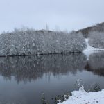 © Fishing site - Étang des Cayers - Beaufils Sébastien