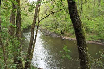 © Fishing site - Rivière Le Chavanon - OT Combrailles