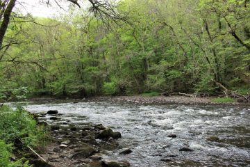 © Fishing site - Rivière Le Chavanon - OT Combrailles