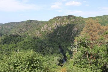 © Picnic area - Belvédère de la Croix Rouge - OT Combrailles