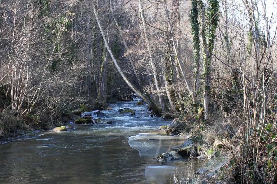 © Fishing site - Rivière La Pampeluze - OT Combrailles