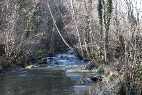 Fishing site - Rivière La Pampeluze