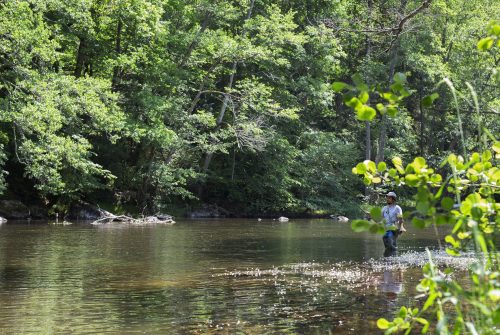 Fishing site - River Sioule (basse Sioule)