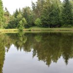 © Fishing site - Étang La Piscine - OT Combrailles