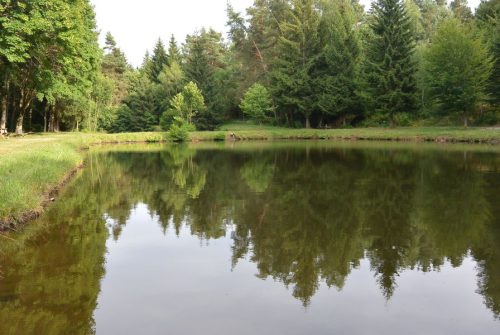 Fishing site - Étang La Piscine