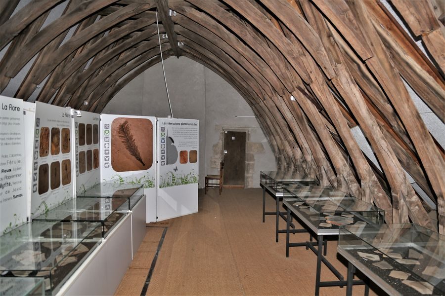 © Museum of Paleontology - mairie Menat