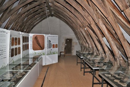 Museum of Paleontology
