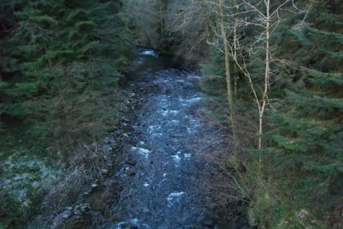 Fishing site - Rivière La Clidane