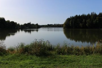 © Fishing site - Étang Neuf - Combrailles Auvergne Tourisme