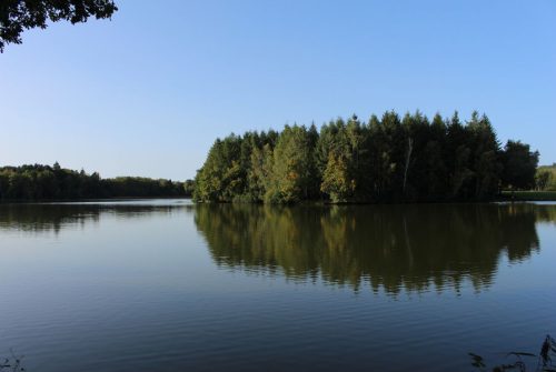 Fishing site - Étang Neuf