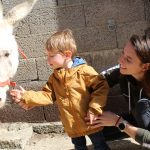 © Donkey rides - La Ferme de la Marinette - Combrailles Auvergne Tourisme