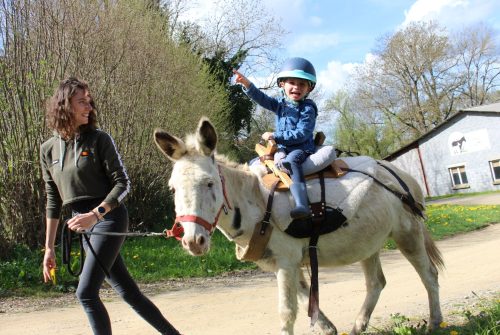 Donkey rides - La Ferme de la Marinette