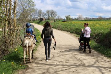 © Donkey rides - La Ferme de la Marinette - Combrailles Auvergne Tourisme