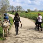 © Donkey rides - La Ferme de la Marinette - Combrailles Auvergne Tourisme