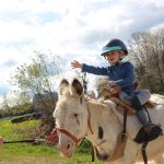 © Donkey rides - La Ferme de la Marinette - Combrailles Auvergne Tourisme