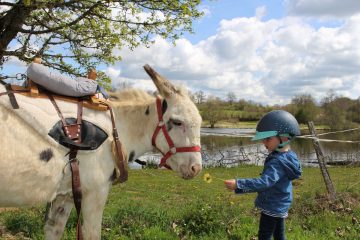 © Donkey rides - La Ferme de la Marinette - Combrailles Auvergne Tourisme