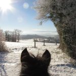 © Horse riding - La Ferme de la Marinette - La Ferme de la Marinette