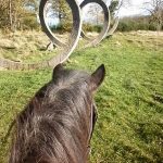 © Horse riding - La Ferme de la Marinette - La Ferme de la Marinette