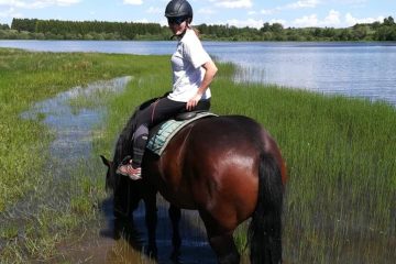 © Horse riding - La Ferme de la Marinette - La Ferme de la Marinette