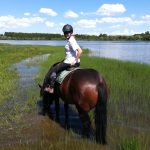 © Horse riding - La Ferme de la Marinette - La Ferme de la Marinette