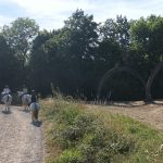 © Horse riding - La Ferme de la Marinette - La Ferme de la Marinette