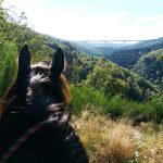 © Horse riding - La Ferme de la Marinette - La Ferme de la Marinette