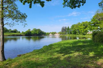 © Fishing site - Étang de Montmazot - Gaillet - Perment - Mechelaere