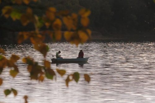 Boat fishing - Chancelade Pond