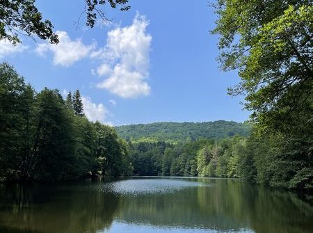Domaine Juchlo
