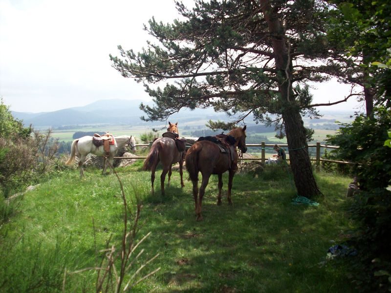 © Equestrian tourism - Ranch'O'Palles - Groslier Alain