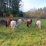 © Equestrian tourism - Ranch'O'Palles - GROSLIER Alain