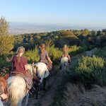 © Equestrian tourism - Ranch'O'Palles - GROSLIER  Alain