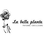 © The Beautiful Plant - logo