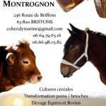 © Sale on the farm - Organic Bread and Brioches - GAEC DE Montrognon
