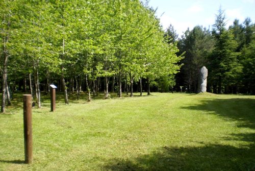 Arboretum of the Wood des Brosses