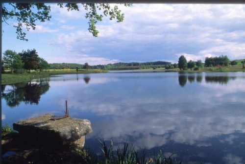 Fishing site - Étang de Farges