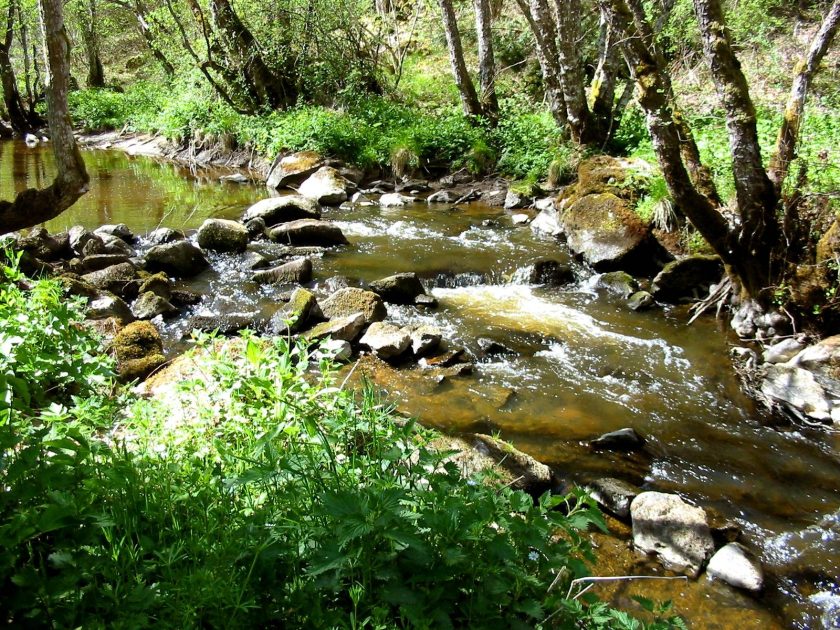 © Fishing site - Rivière Le Sioulet - OTC