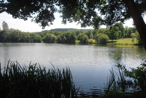 Fishing - Bodies of water in Saint-Eloy-Les-Mines and surrounding ponds