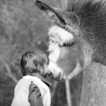 © Donkey rides - La Ferme de la Marinette - Marine Bellumori