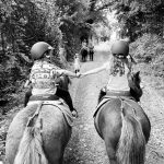 © Donkey rides - La Ferme de la Marinette - Marine Bellumori