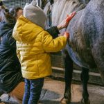 © Donkey rides - La Ferme de la Marinette - JEM JEM GO