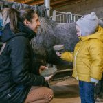 © Donkey rides - La Ferme de la Marinette - JEM JEM GO