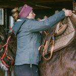 © Donkey rides - La Ferme de la Marinette - JEM JEM GO