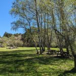 © Picnic area - Roche Sauterre - Mairie de Manzat