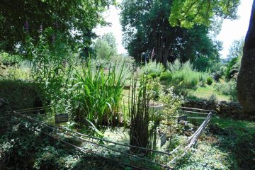 © Herbal Teas - Berger-Michel